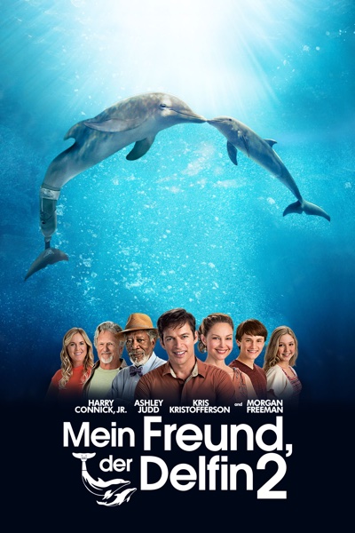 Mein Freund, der Delfin 2